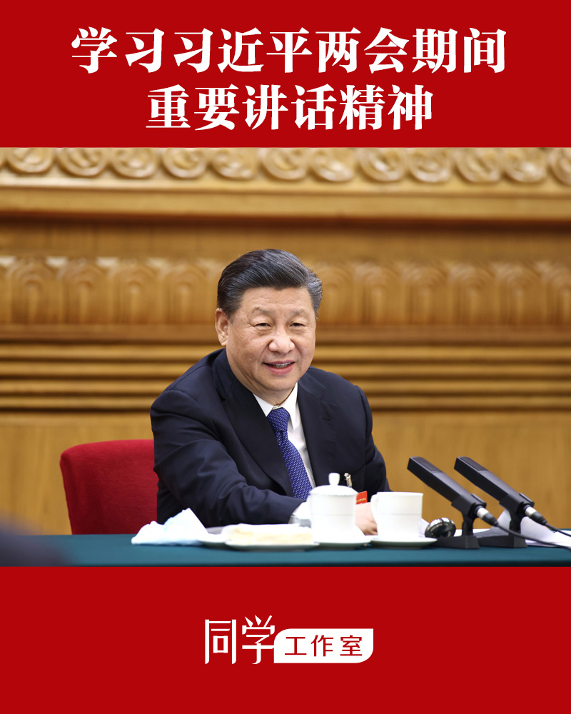 学习习近平两会期间重要讲话精神